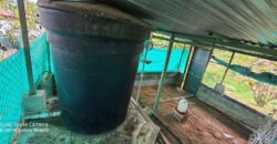 SE VENDE O SE PERMUTA FINCA MESITAS