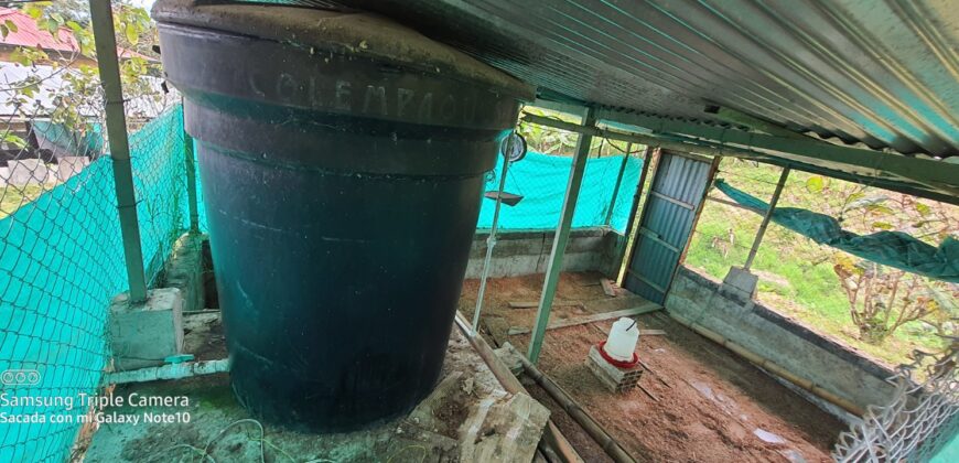 SE VENDE O SE PERMUTA FINCA MESITAS