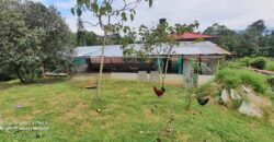 SE VENDE O SE PERMUTA FINCA MESITAS