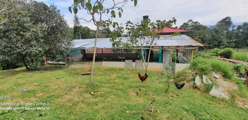 SE VENDE O SE PERMUTA FINCA MESITAS