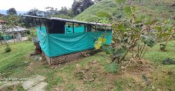 SE VENDE O SE PERMUTA FINCA MESITAS