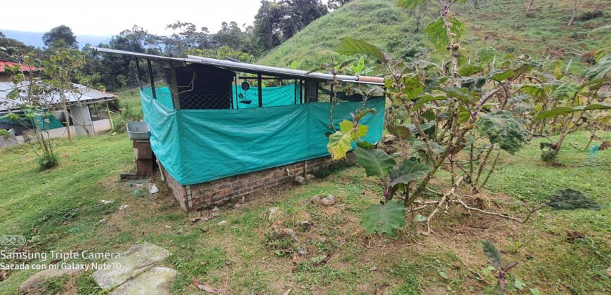 SE VENDE O SE PERMUTA FINCA MESITAS