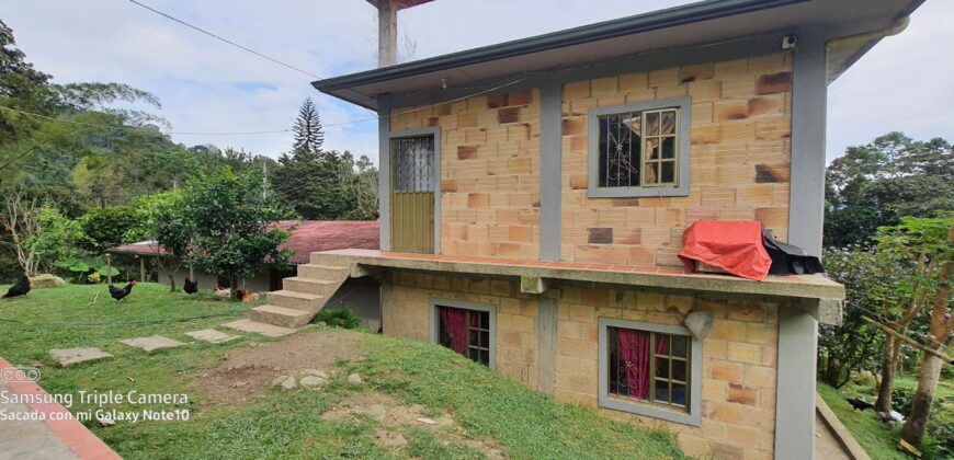 SE VENDE O SE PERMUTA FINCA MESITAS