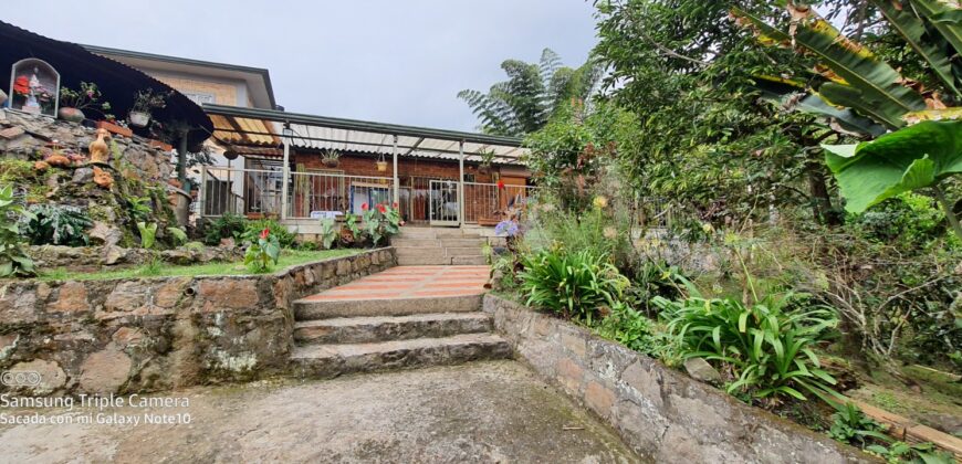 SE VENDE O SE PERMUTA FINCA MESITAS