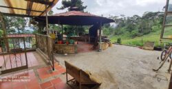 SE VENDE O SE PERMUTA FINCA MESITAS