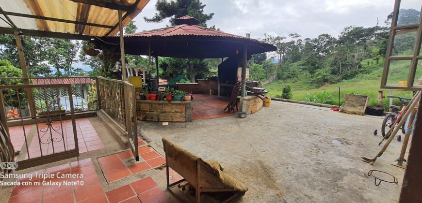 SE VENDE O SE PERMUTA FINCA MESITAS