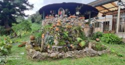 SE VENDE O SE PERMUTA FINCA MESITAS