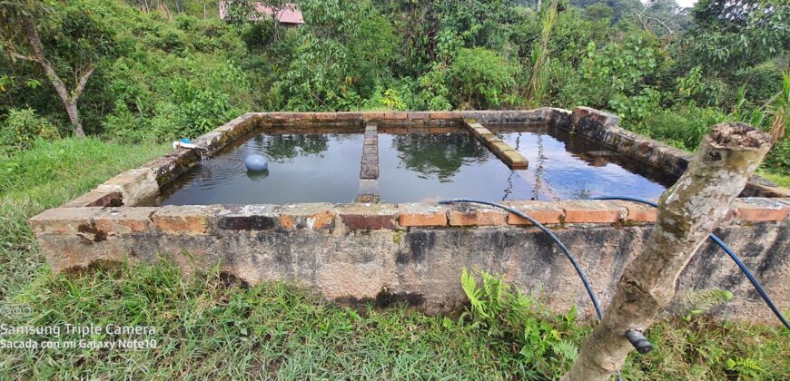 SE VENDE O SE PERMUTA FINCA MESITAS