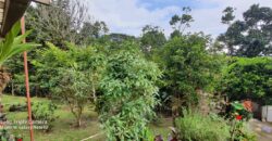 SE VENDE O SE PERMUTA FINCA MESITAS