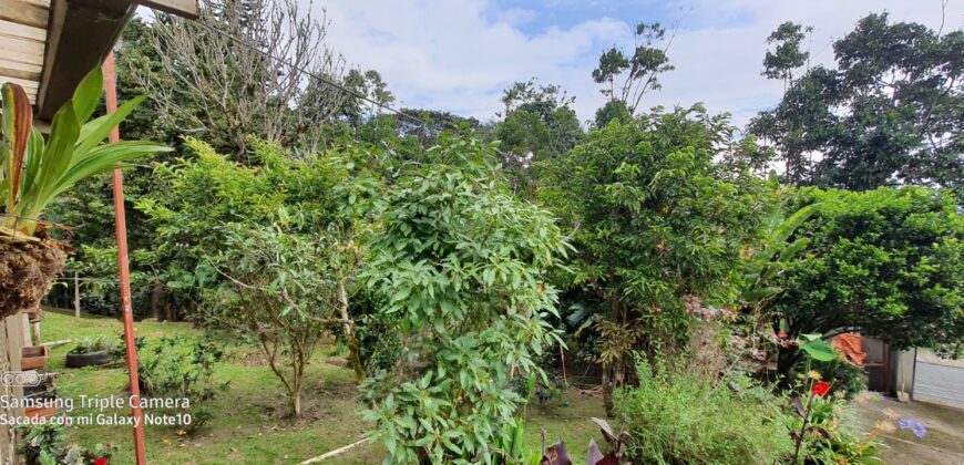 SE VENDE O SE PERMUTA FINCA MESITAS