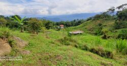 SE VENDE O SE PERMUTA FINCA MESITAS