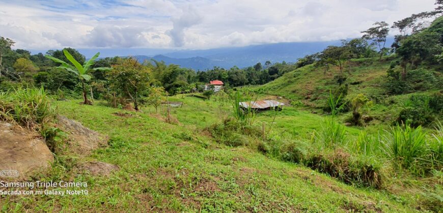 SE VENDE O SE PERMUTA FINCA MESITAS