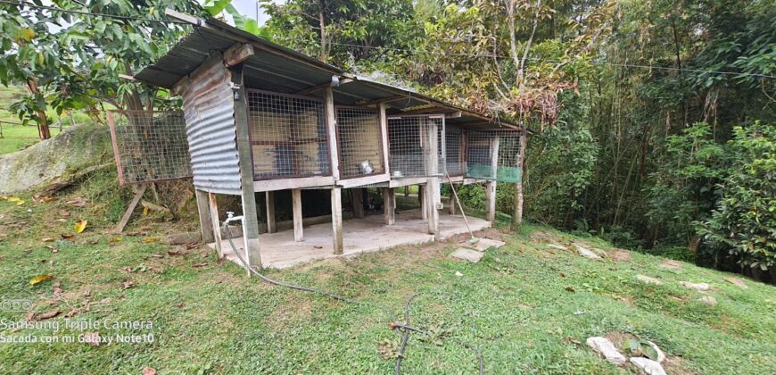 SE VENDE O SE PERMUTA FINCA MESITAS