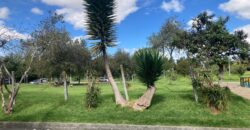 VENPERMUTO CASA AMPLIA PABLO VI