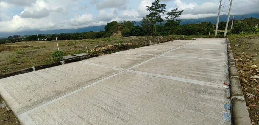 VENPERMUTO LOTE CARMEN DE APICALÁ (MELGAR)
