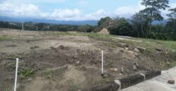VENPERMUTO LOTE CARMEN DE APICALÁ (MELGAR)