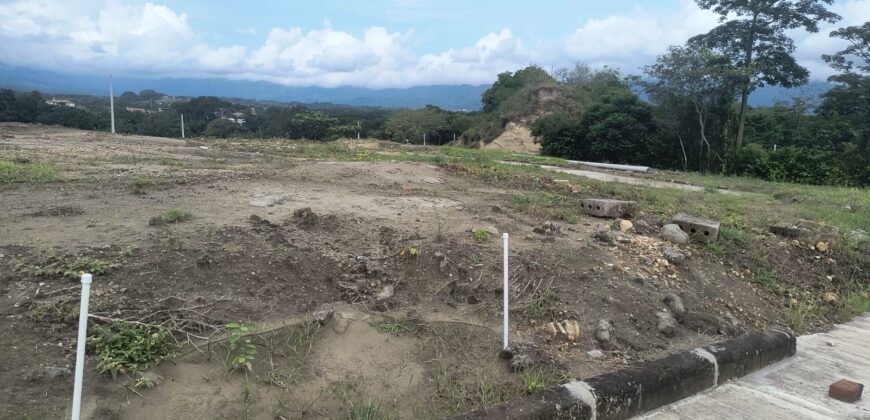 VENPERMUTO LOTE CARMEN DE APICALÁ (MELGAR)