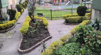 APTO TOTAL REMODELADO ALAMOS (PINAR DE ALAMOS)